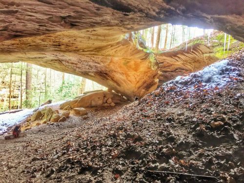 A rocky cave entrance with a large overhang, surrounded by trees and a muddy floor, illuminated by natural light.