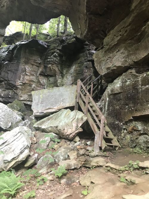 A wooden staircase leads up through a rocky cave entrance surrounded by lush greenery.