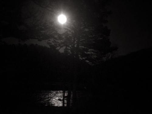A bright full moon illuminates a dark landscape with silhouetted trees and a shimmering river.