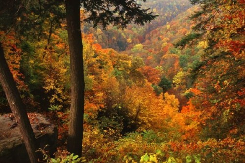 A vibrant autumn landscape with colorful trees in shades of orange, yellow, and red, overlooking a valley.