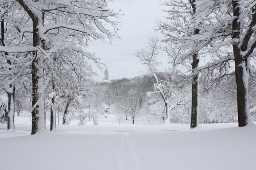 A snowy landscape with trees framing a view of a distant building, all covered in fresh white snow.