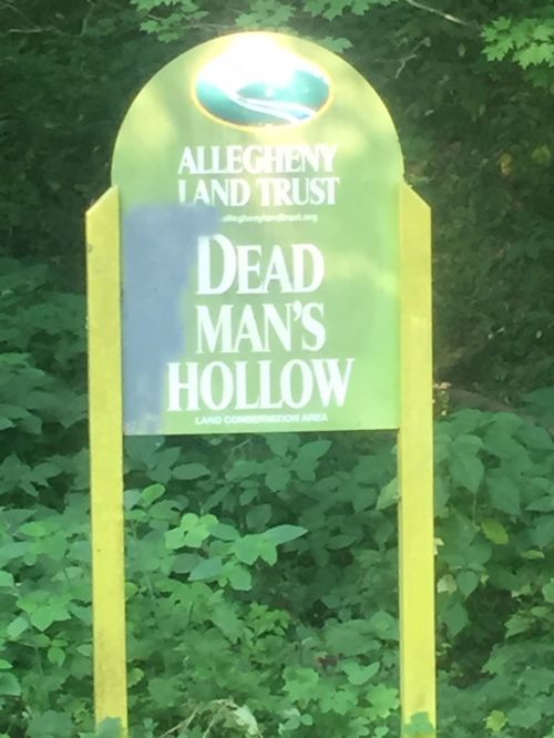 Sign for Allegheny Land Trust at Dead Man's Hollow, a land conservation area, surrounded by greenery.
