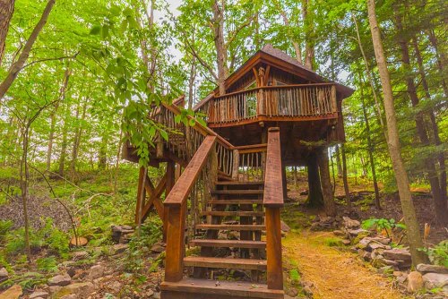 A wooden treehouse nestled among lush green trees, featuring a staircase leading up to it.