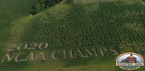 Aerial view of a corn maze featuring "2020 NCAA CHAMPS" and a playful design carved into the field.