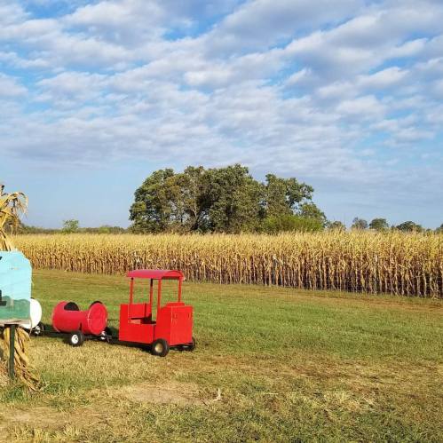 A red toy train sits on grass near a cornfield under a blue sky with scattered clouds.