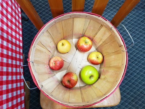 A wooden basket containing six apples: three red, one green, and two yellow, placed on a checkered tablecloth.