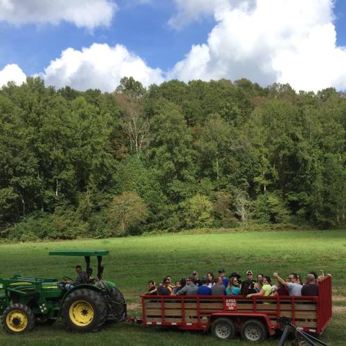 A tractor pulls a trailer filled with people through a green field, surrounded by trees and a blue sky.