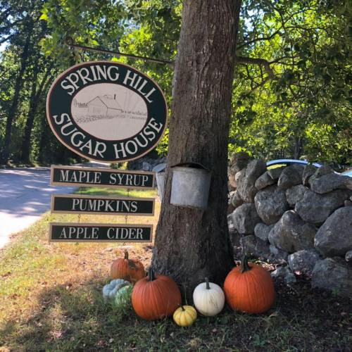 Sign for Spring Hill Sugar House with pumpkins and a metal bucket, surrounded by trees and a stone wall.