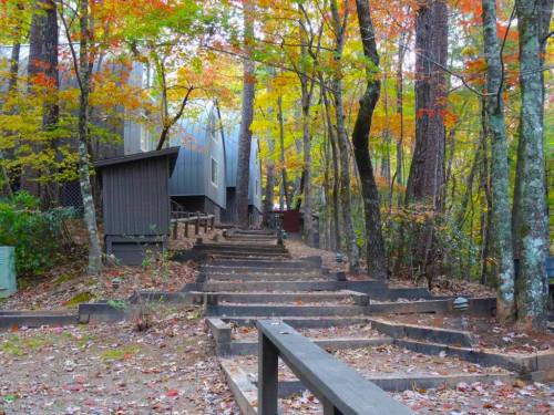 A wooded path with steps leads to a modern building, surrounded by colorful autumn foliage.