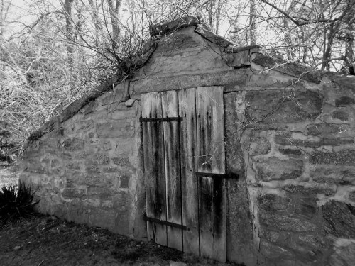 A weathered stone building with a wooden door, partially covered in vines, set in a wooded area. Black and white photo.