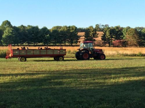 A red tractor pulls a yellow trailer through a grassy field with trees and hills in the background.