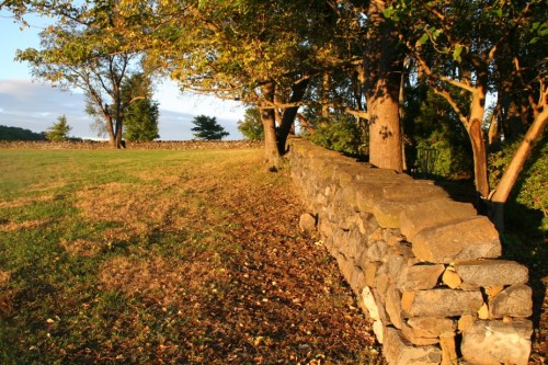 A stone wall runs along a grassy area, bordered by trees under a clear sky during golden hour.
