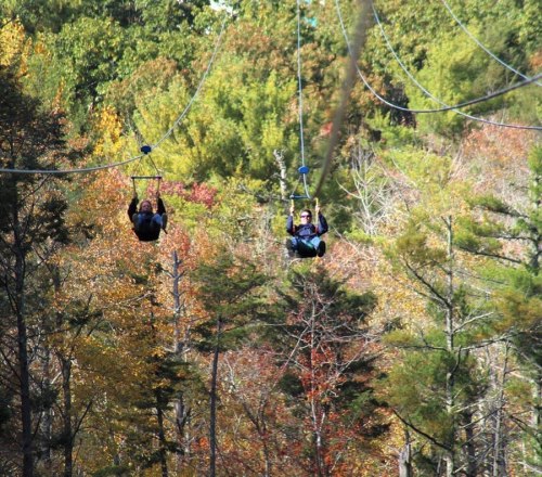 Two people ziplining through a colorful forest with autumn foliage in the background.