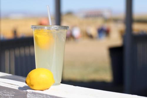 A clear cup of lemonade with a lemon slice, resting on a white railing, with a lemon beside it and a blurred background.