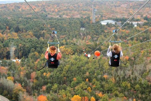 Two people ziplining over a forest with vibrant autumn foliage, enjoying a scenic view from above.