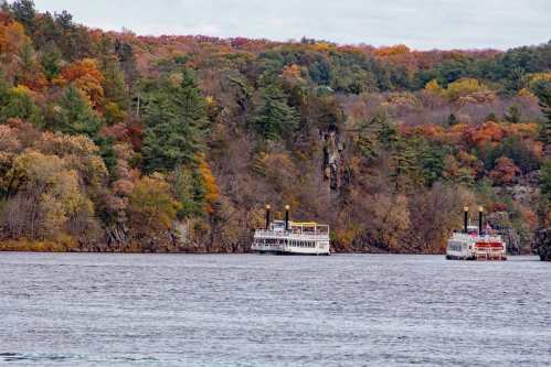 Two steamboats on a river surrounded by autumn-colored trees and rocky cliffs.