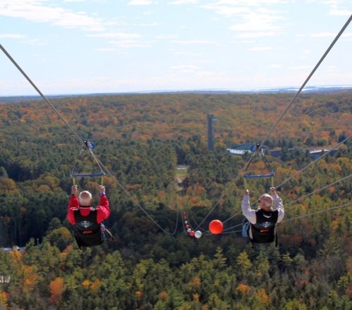 Two people ziplining over a vibrant forest landscape with colorful autumn foliage and a clear blue sky.