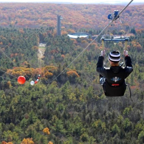 A person rides a zip line over a forest with autumn foliage, showcasing vibrant colors and a distant tower.