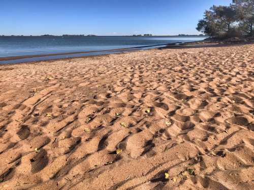 Sandy beach with footprints, calm water, and trees in the background under a clear blue sky.