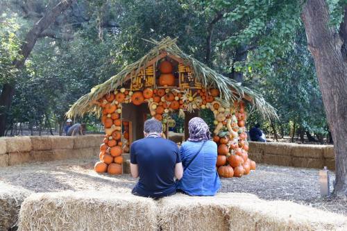 Two people sit on hay bales, facing a pumpkin-decorated hut surrounded by trees in a festive outdoor setting.