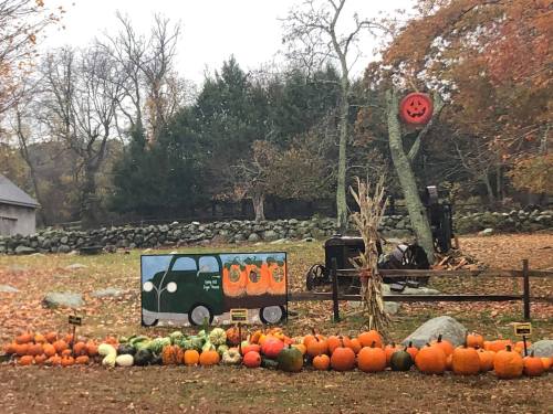 A green truck mural with pumpkins, surrounded by various pumpkins and gourds in a fall setting.
