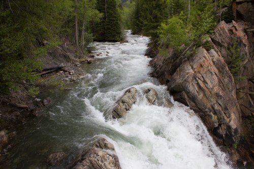 A rushing river flows over rocks, surrounded by lush green trees and rocky terrain in a serene natural setting.