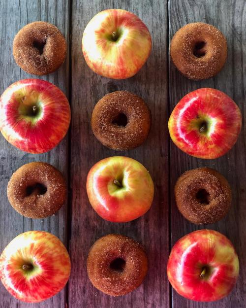 A flat lay of red apples and cinnamon sugar donuts arranged in two rows on a wooden surface.