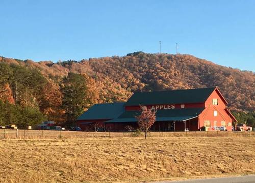 Red barn with "Apples" sign, surrounded by autumn trees and mountains under a clear blue sky.