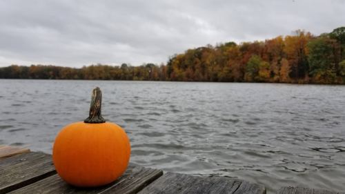 A small orange pumpkin sits on a wooden dock by a lake, surrounded by autumn-colored trees under a cloudy sky.