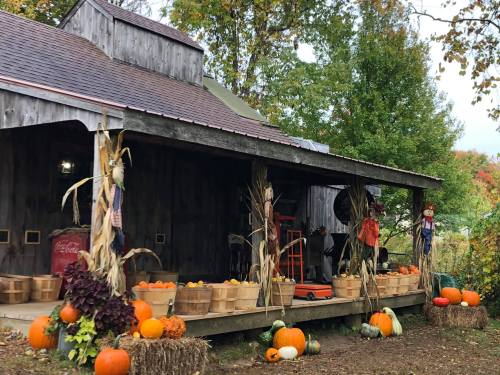 A rustic barn decorated with pumpkins, corn stalks, and scarecrows, surrounded by autumn foliage.