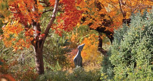 A serene garden scene with vibrant autumn leaves and a statue of a fox among lush greenery.