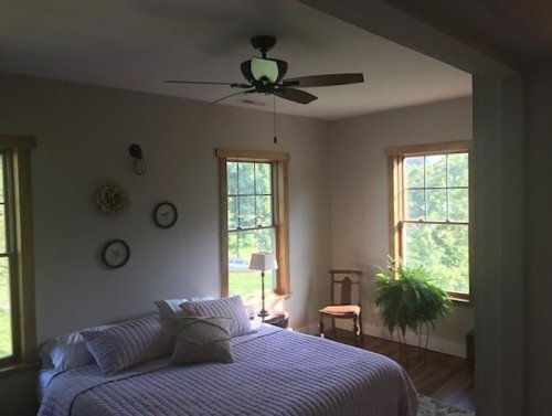 Cozy bedroom with a bed, ceiling fan, two windows, a chair, and a potted plant, featuring soft natural light.