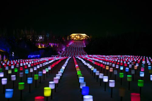 A colorful display of illuminated cups lines a pathway leading to a lit building at night.