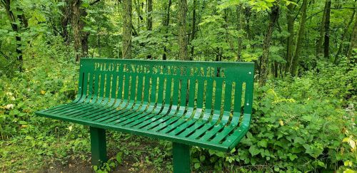 A green bench in a lush, green forest at Pilot Knob State Park, surrounded by trees and foliage.