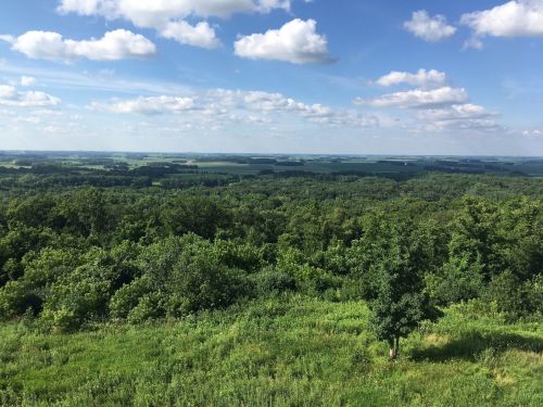 A panoramic view of lush green fields and trees under a bright blue sky with fluffy white clouds.