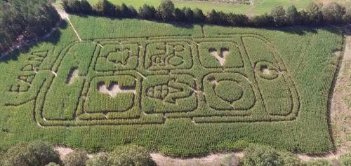 Aerial view of a corn maze shaped like a smartphone with various app icons carved into the field.