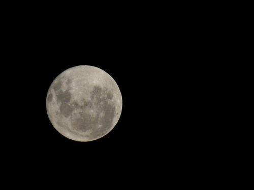 A bright full moon against a dark night sky, showcasing its craters and surface details.