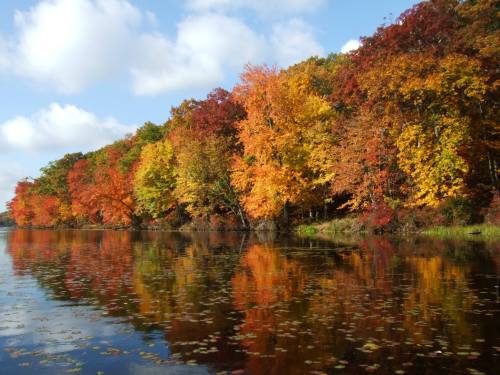 Vibrant autumn trees in shades of orange, red, and yellow reflect on a calm lake under a blue sky with fluffy clouds.