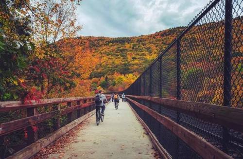 Bicyclists ride along a scenic path surrounded by vibrant autumn foliage and a mountain backdrop.