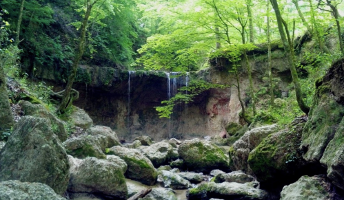 A serene forest scene featuring a waterfall cascading over rocky cliffs, surrounded by lush green trees and mossy boulders.
