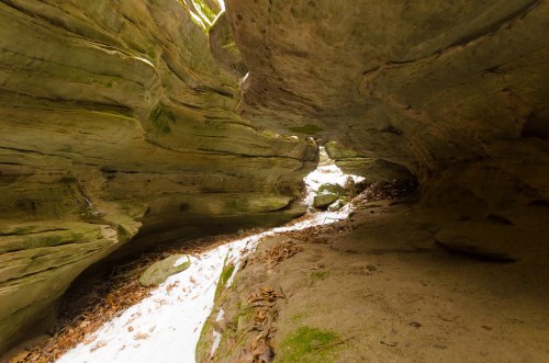 A narrow rock formation with smooth, layered walls and scattered leaves on the ground, illuminated by soft light.