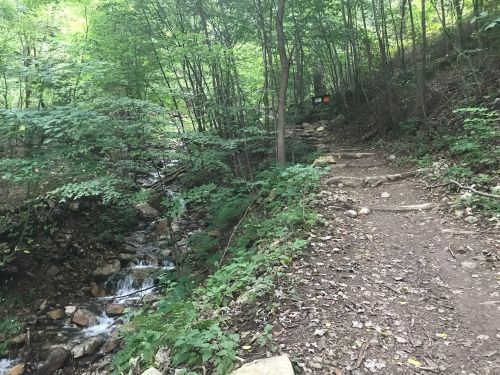 A forested trail beside a small stream, surrounded by lush greenery and rocky terrain.