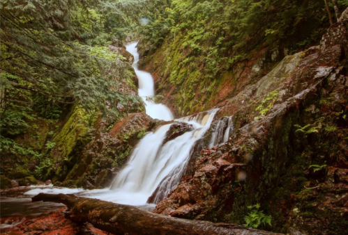 A serene waterfall cascading down moss-covered rocks in a lush green forest.