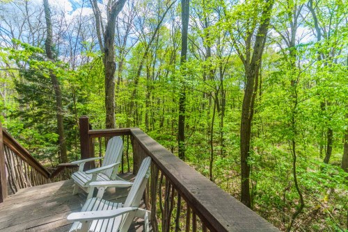 A wooden deck with two white chairs overlooks a lush green forest filled with trees and sunlight.