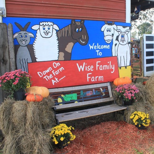 Colorful mural of farm animals with "Welcome to Wise Family Farm" sign, surrounded by pumpkins and flowers on hay bales.
