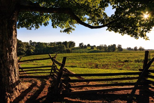 A sunlit landscape with a wooden fence, lush green fields, and trees under a clear blue sky.
