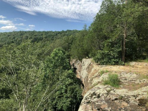 A rocky cliff edge surrounded by lush green trees and a blue sky with scattered clouds.