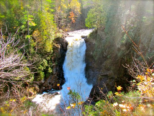 A cascading waterfall surrounded by lush greenery and autumn foliage, with sunlight filtering through the trees.