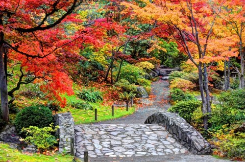 A serene garden path winds through vibrant autumn foliage, featuring a stone bridge and colorful trees.
