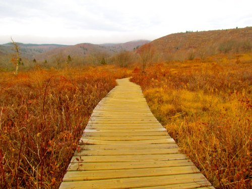 A wooden boardwalk winds through a grassy, autumn landscape with rolling hills in the background.
